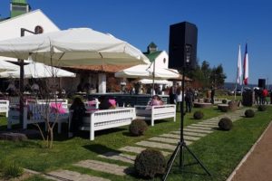 Wine Tasting Tour Casas del Bosque