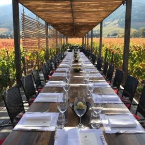 Colchagua valley Wineries Montes