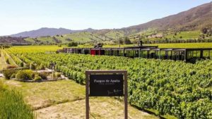 Transportation from Santiago to Vineyard Montes in Colchagua