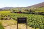 Transportation from Santiago to Vineyard Montes in Colchagua