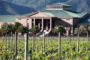 Full day Veramonte Wine Tour